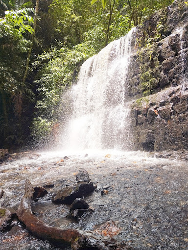 Foto de Cuerpo Civil de Guardaparques (CCGP) - Parque Nacional Yacambú