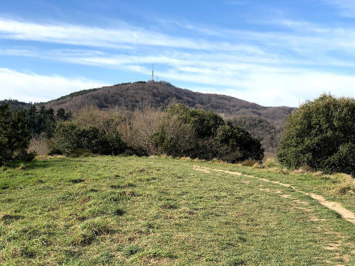 Errogana - Visual