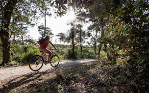 Photo n°33 de Huttopia Oléron Les Chênes Verts à Dolus-d'Oléron (Terrain de camping)