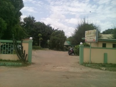 Photos of Abusua Restaurant