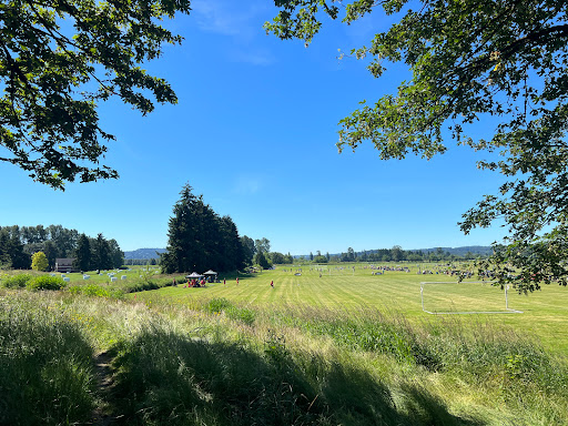 Stocker Fields - Visual