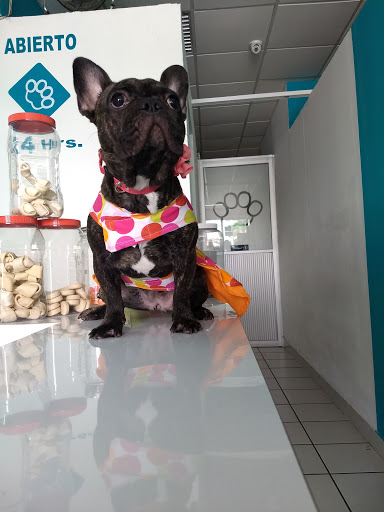 HEMVET Hospital Veterinario