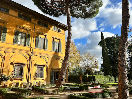 NYU Florence - Visual