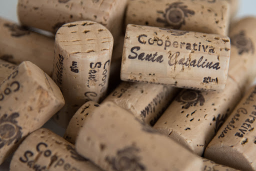Cooperativa Santa Catalina. - Thumbnail