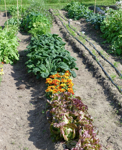Good Earth Garden School - Thumbnail
