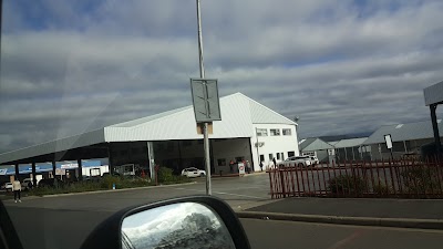 Photos of shell