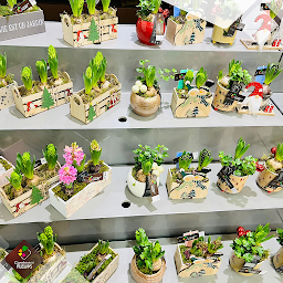 Photo n°15 de Carrément Fleurs - Fleuriste Pamiers à Pamiers (Fleuriste)