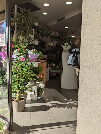 I Fiori Di Francesca