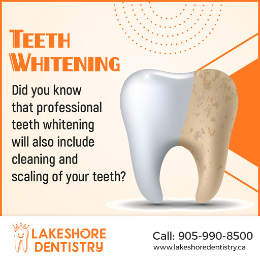 Lakeshore Dentistry - Port Credit Gallery - Canada