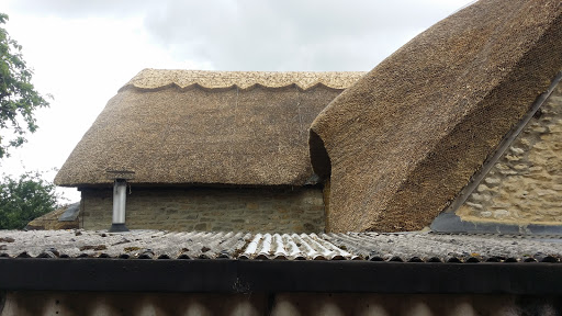 Thame Thatch - Visual