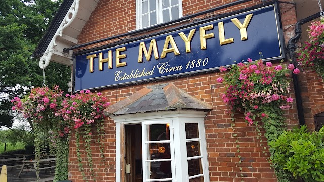 Mayfly