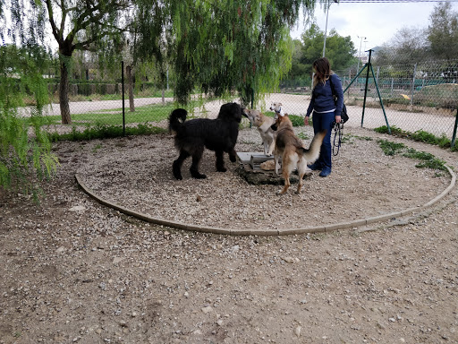 Canino Elda Park - Thumbnail