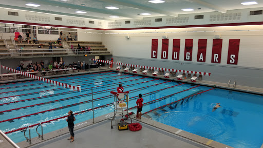 Gibb Pool - Visual