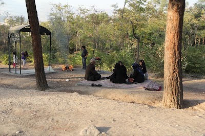 Photos of Sorkheh Hesar National Park