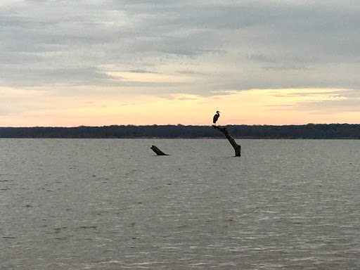 Lake Thunderbird State Park West Sentinel Area - Thumbnail