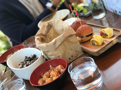 Photos of Treehouse Dubai