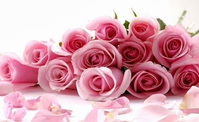Photos of Floristerias en Bogota-Ordo&ntilde;ez