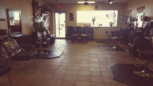 Salon 14 - Visual