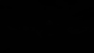 Photo n°2 de Le DINER MYSTERE à Moncoutant-sur-Sèvre (Salle de spectacles)