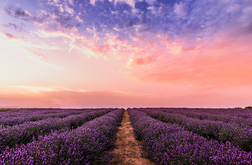 Wanderful Journeys - Thumbnail