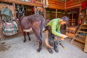 Photo n°30 de La Ferme d'Oulan Bât - Elevage ânes des Pyrénées/Camping yourtes/Rando âne/Savon lait d'ânesses/Formation traction animale à Arbas (Centre de formation)