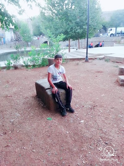 university