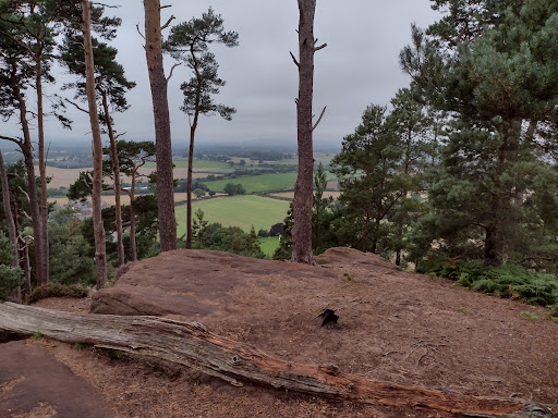 Oliver's Point - Visual
