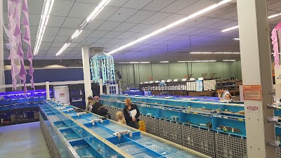 Photos of That Fish Place - That Pet Place