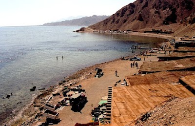 Photos of Camel Restaurant