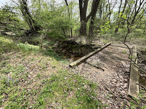 Pixie Creek - Visual