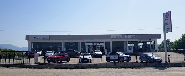 Opinii despre TOYOTA ΟΥΣΤΡΙΑΣ Α.Ε. (ΔΡΑΜΑ) în Δράμα - Αντιπροσωπεία αυτοκινήτων
