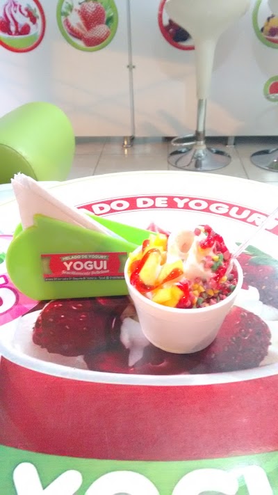 Photos of Yoghi