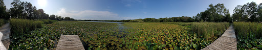 Runyard Wilson Park Gallery - United States