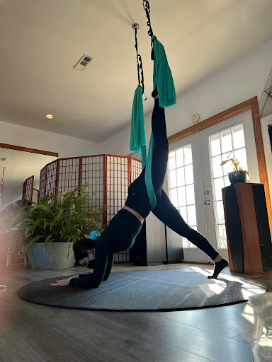 ReNu Aerial Pilates & Wellness Barre Gallery - United States