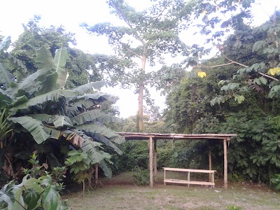 Photos of Hotel Three Monkeys