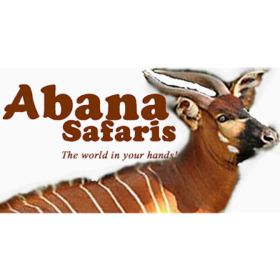 Photos of Abana Safaris