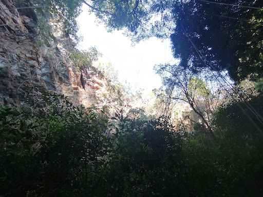 El Sótano hondo - Thumbnail