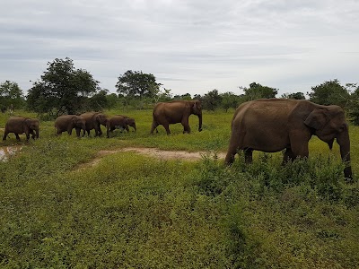 Photos of Enjoy Paradise Safari Resort