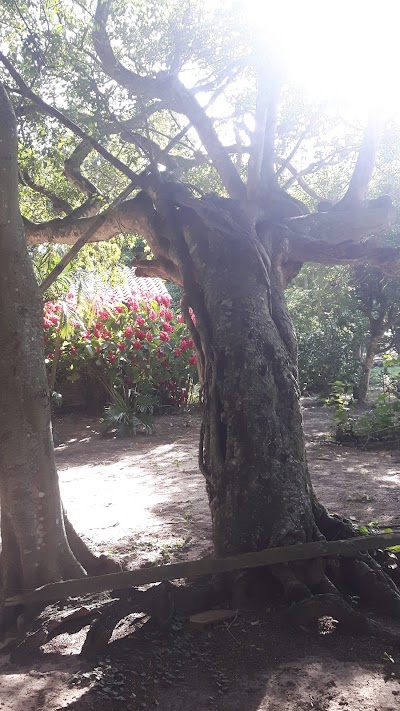 Photos of LECHERIA DON PEDRO