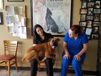 Photos of South Arlington Animal Clinic