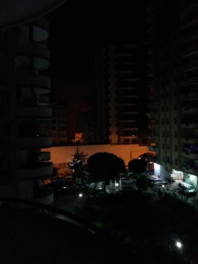 Photos of Lale Borekcilik