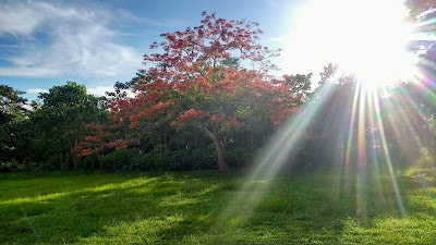 Photos of Paz Park