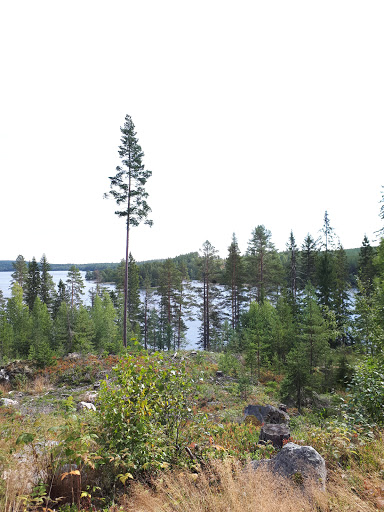 Kullgärdet Bjursås - Thumbnail