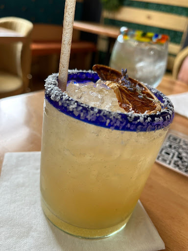 Papaïa a la Mexicana Gallery - United States
