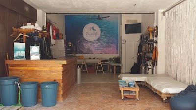 Photos of Dive Life