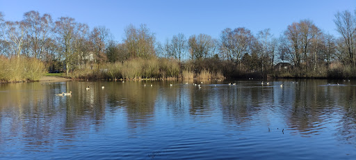 Place 81 - Visual