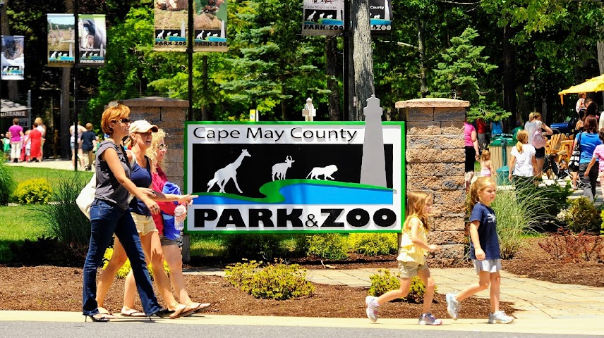 Cape May County Park & Zoo by null