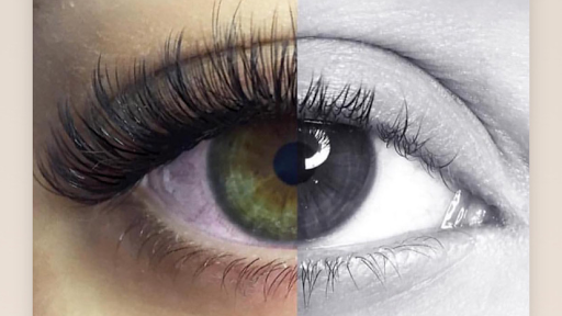 Lashed by Alex - Visual