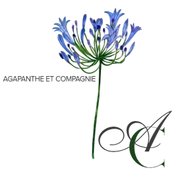 Photo n°19 de Agapanthe et Compagnie à Nîmes (Fleuriste)