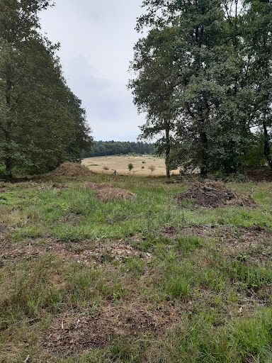 Hooge Heide (Bergherbos)